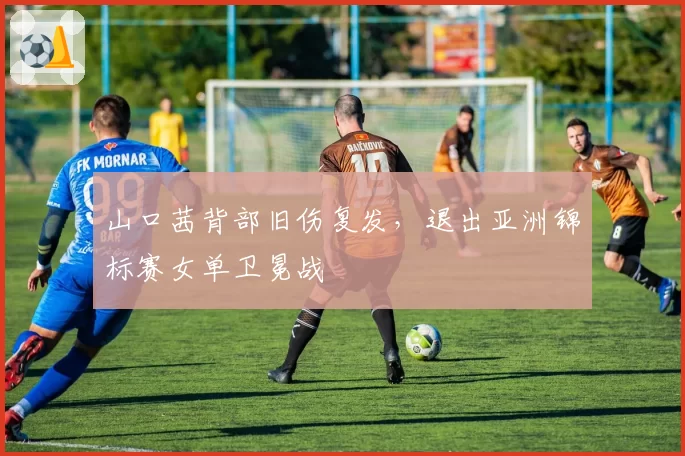 山口茜背部旧伤复发，退出亚洲锦标赛女单卫冕战