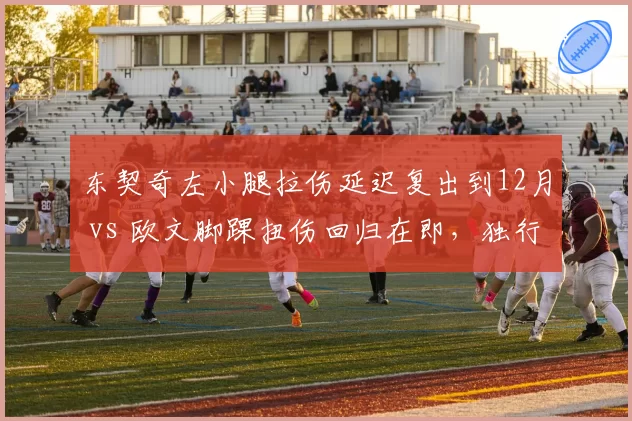 东契奇左小腿拉伤延迟复出到12月 vs 欧文脚踝扭伤回归在即，独行侠后场恢复节奏错位