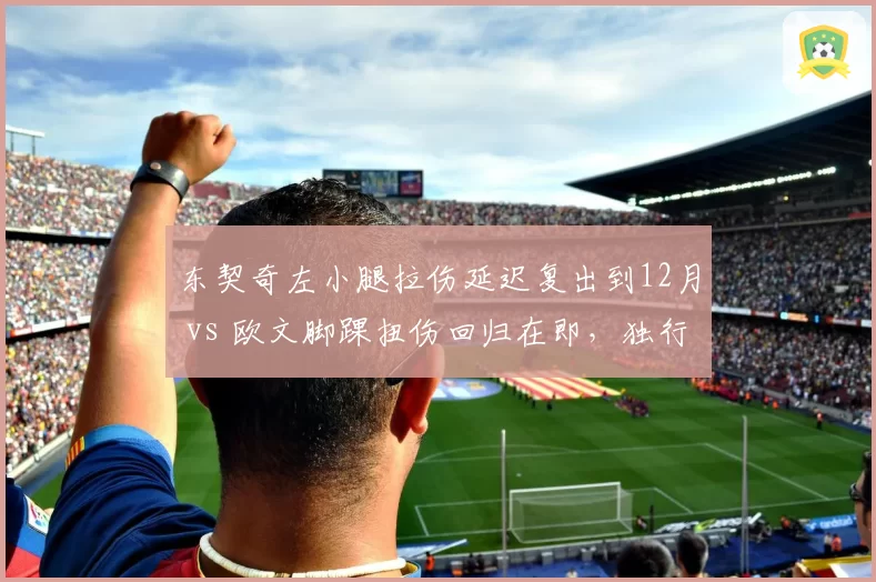 东契奇左小腿拉伤延迟复出到12月 vs 欧文脚踝扭伤回归在即，独行侠后场恢复节奏错位