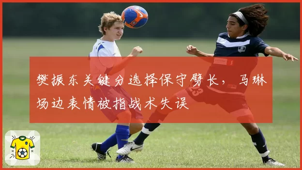 樊振东关键分选择保守劈长，马琳场边表情被指战术失误