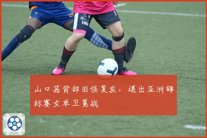 山口茜背部旧伤复发，退出亚洲锦标赛女单卫冕战